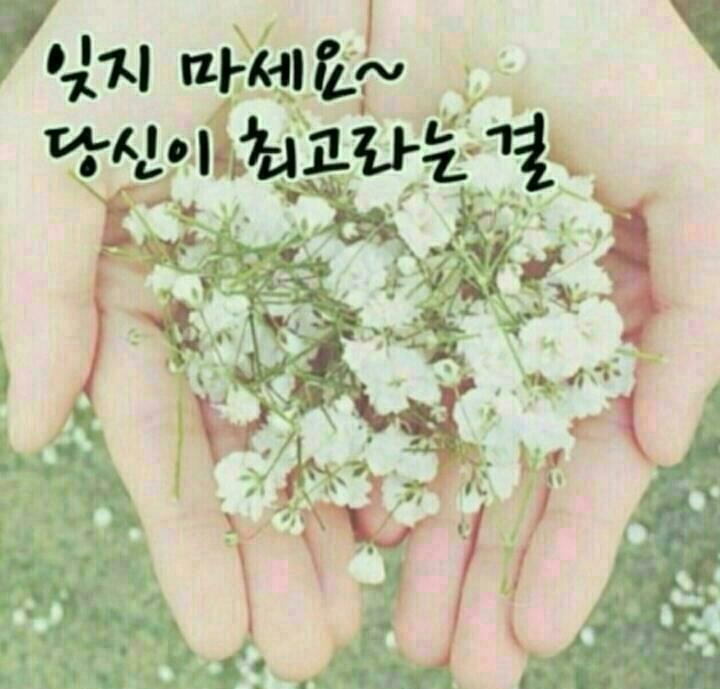 청양친환경블루베리농장 이미지