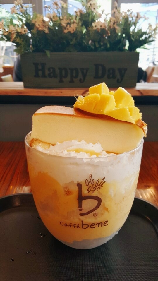 다시원 이미지