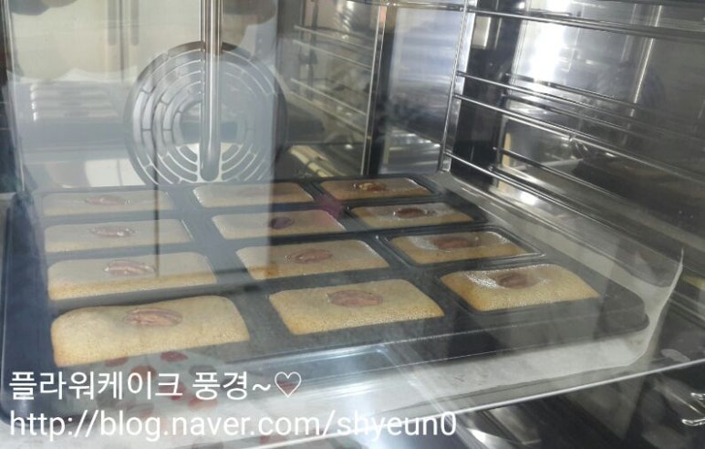 플라워케이크풍경 이미지