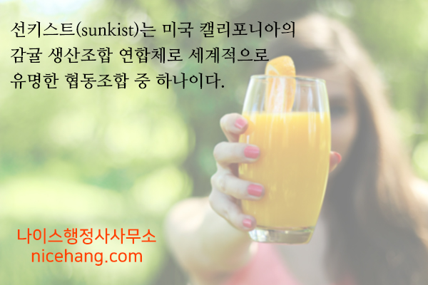 나이스행정사사무소 이미지