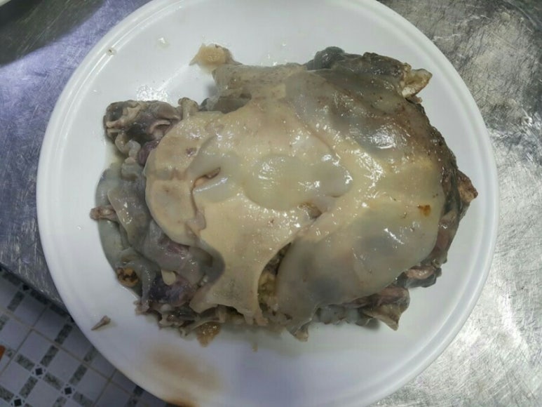 정남진가든 이미지