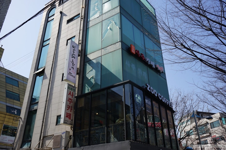 사주카페 이미지