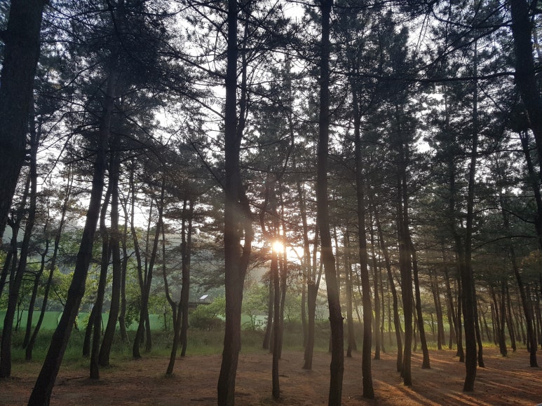 바다캠프 이미지