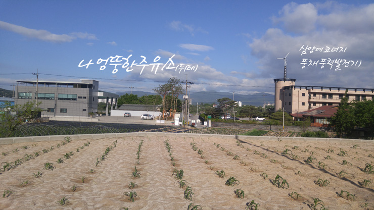 풍차주유소 이미지