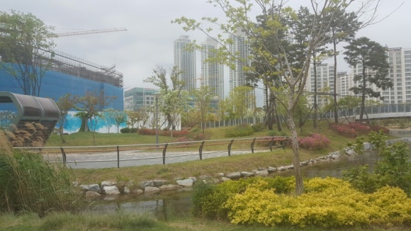 스매시센터 이미지