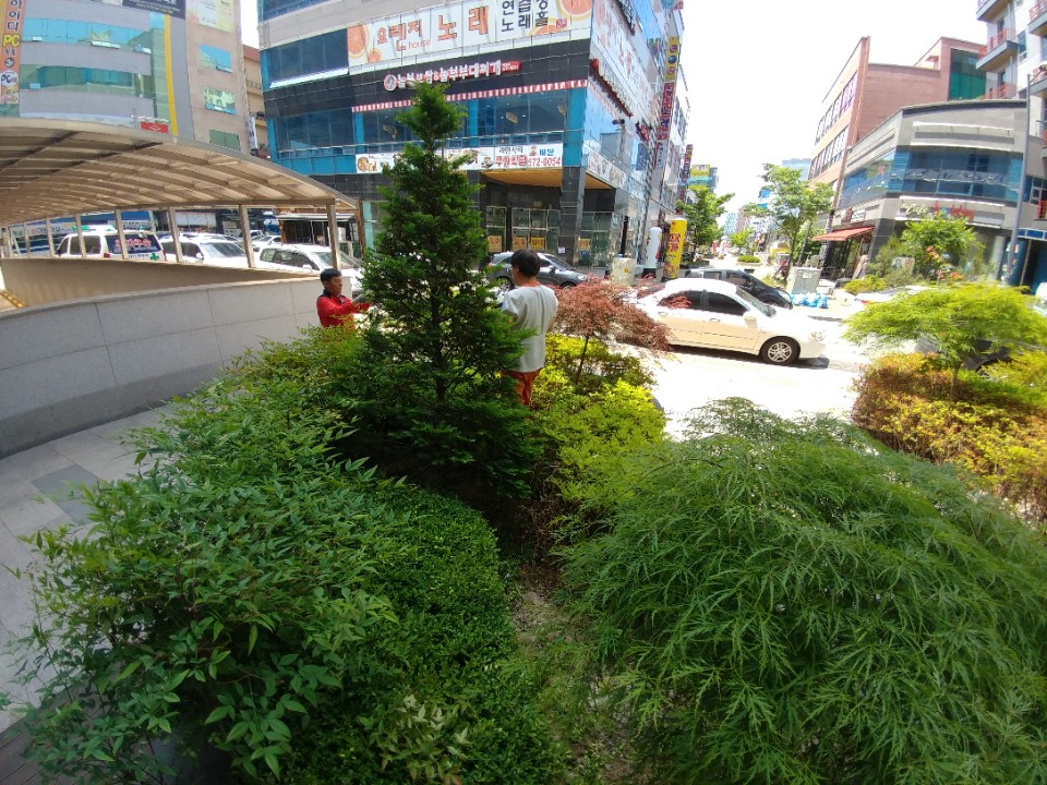 새나래나무병원 이미지