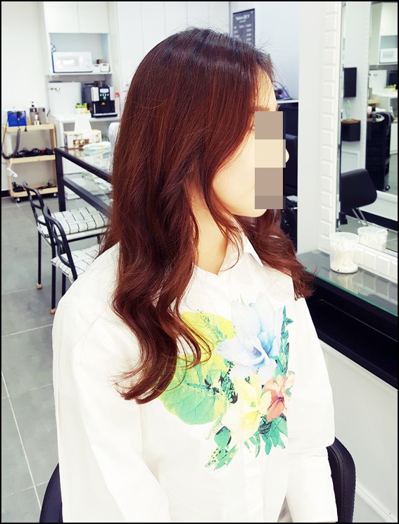 살롱드와이 이미지