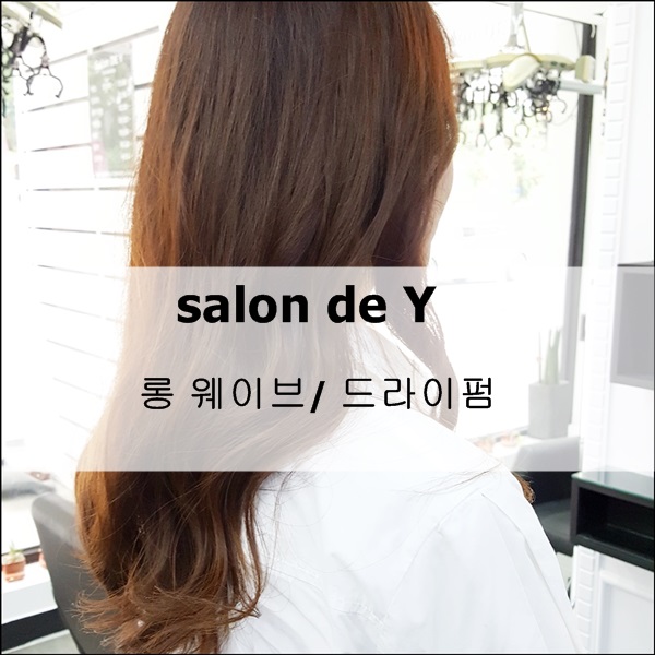 살롱드와이 이미지