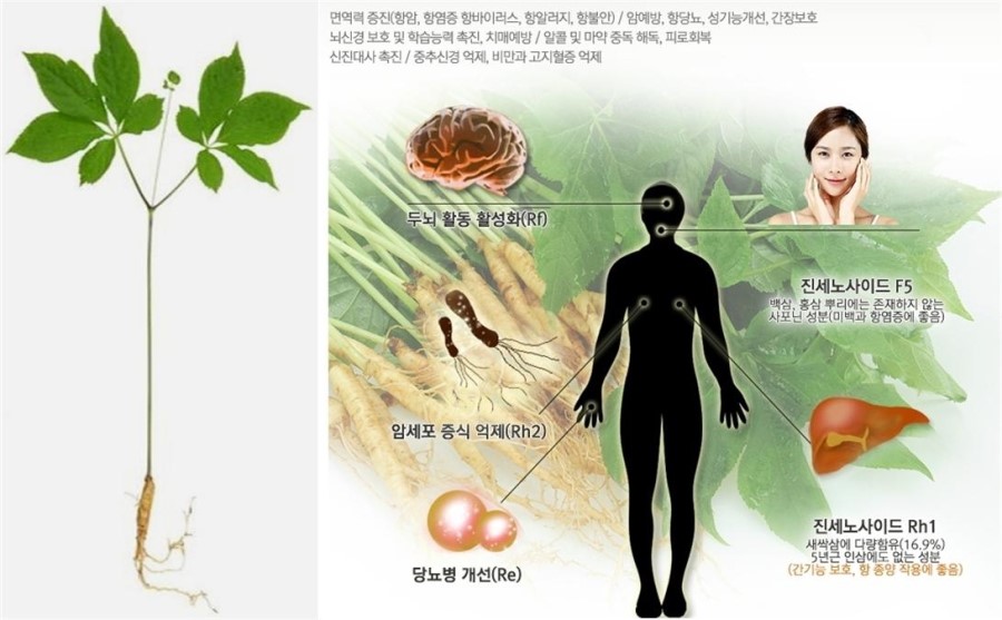 수경식품 이미지