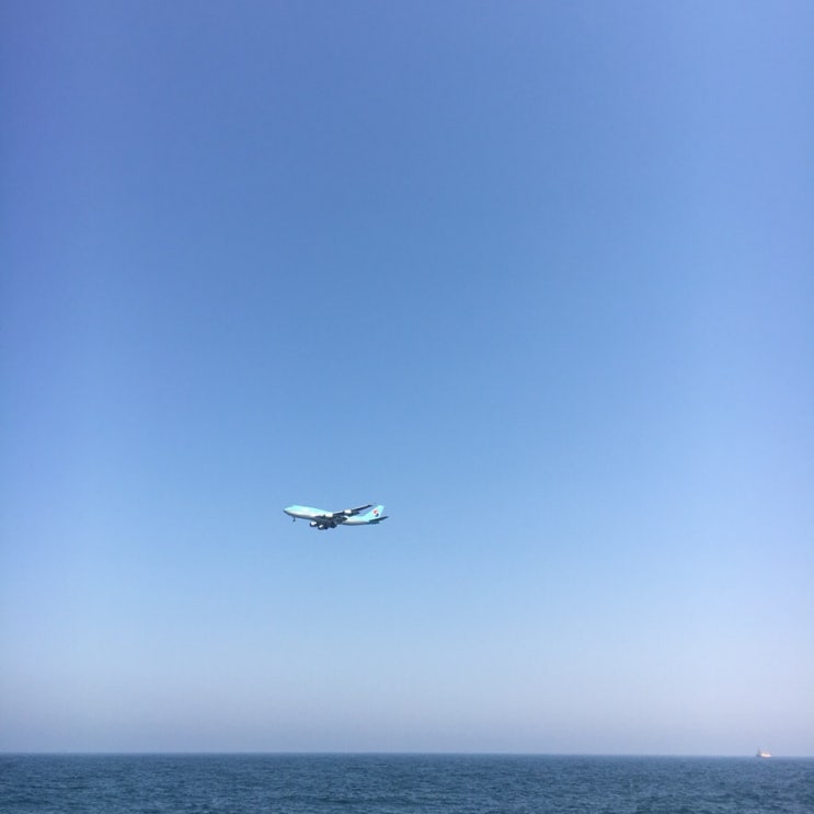 만복김밥 이미지