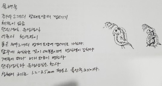 기수산 이미지