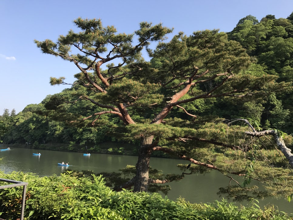 한국핫스 이미지