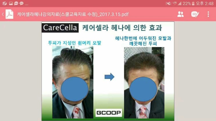 천연헤나 이미지