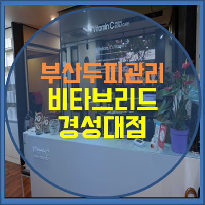 비타브리드스칼프케어 이미지