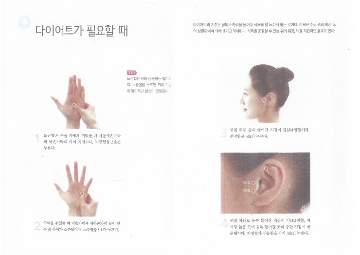 왕매실녹색농촌체험마을 이미지