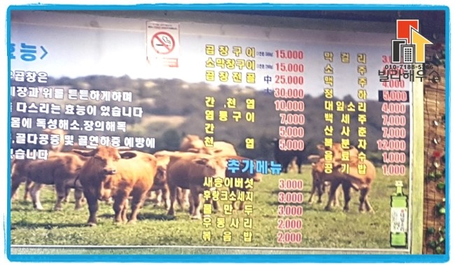 미스터황소곱창 이미지