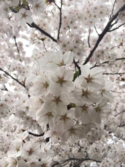 신신다방 이미지
