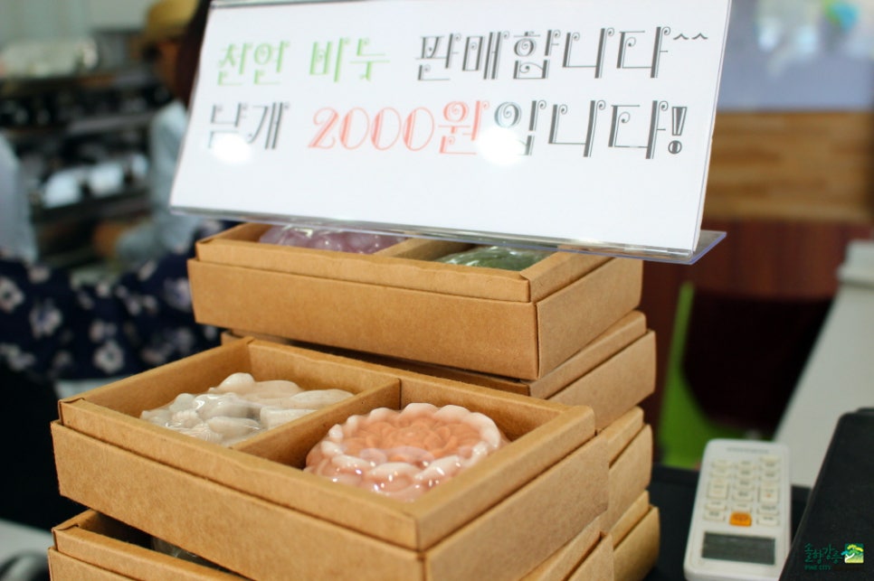 강릉오성학교카페모두 이미지