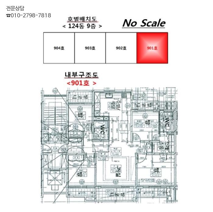 비산청과 이미지