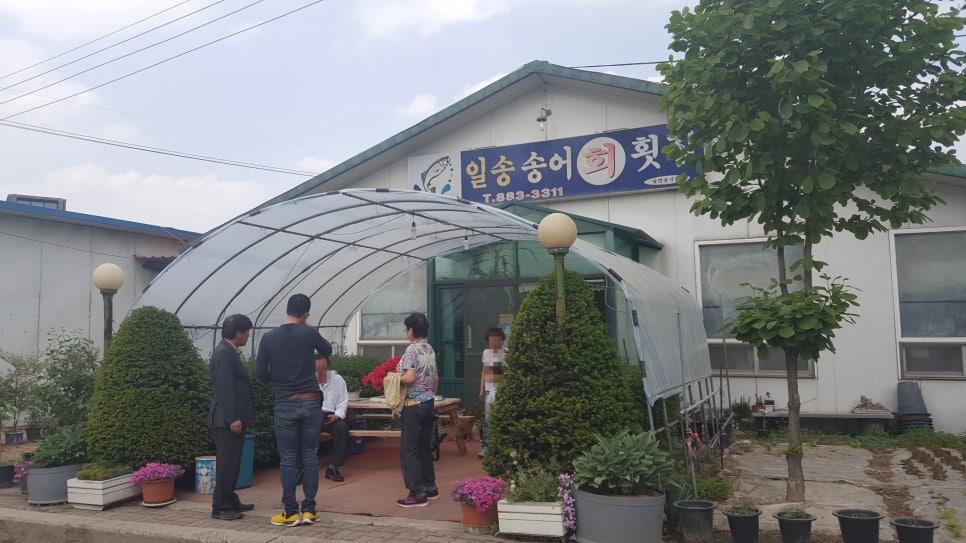 일송송어횟집 이미지