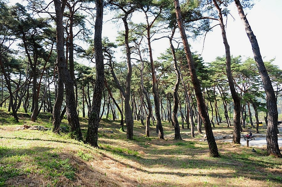 문경레저투어 이미지