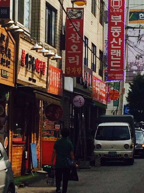 청산오리 이미지