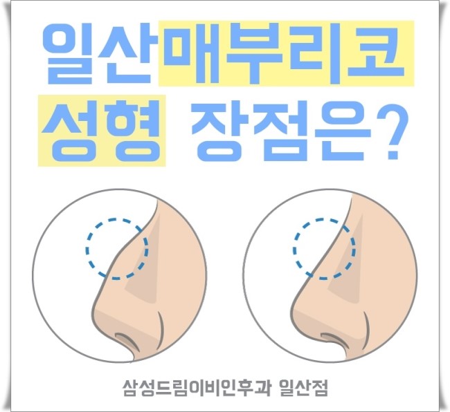 코어디 이미지
