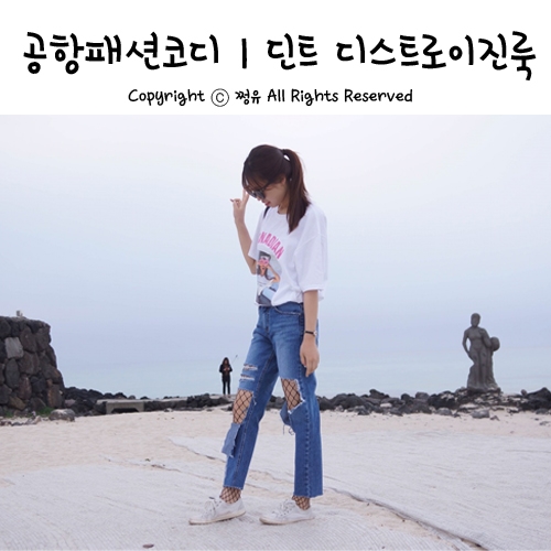 딘트주 이미지