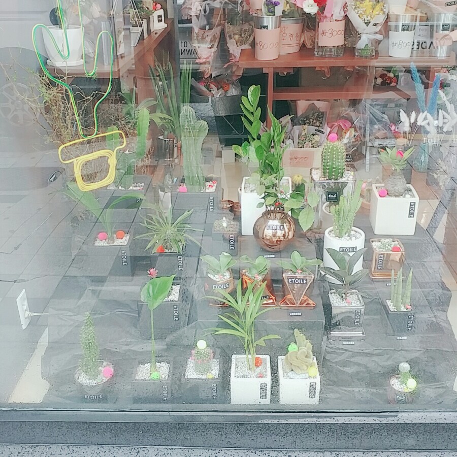 카페에뚜알 이미지