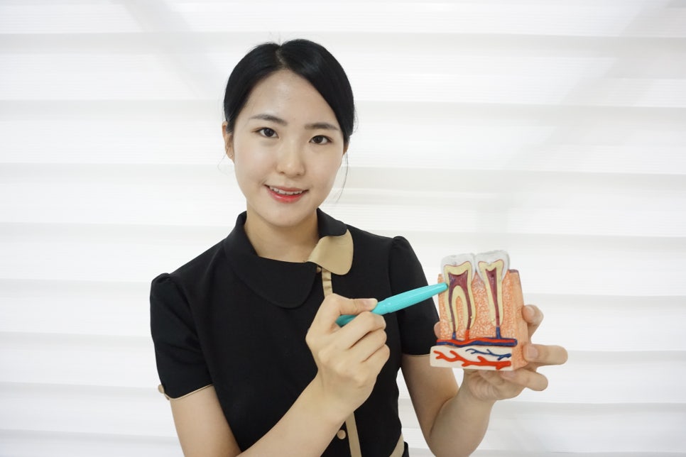 푸른치과 이미지