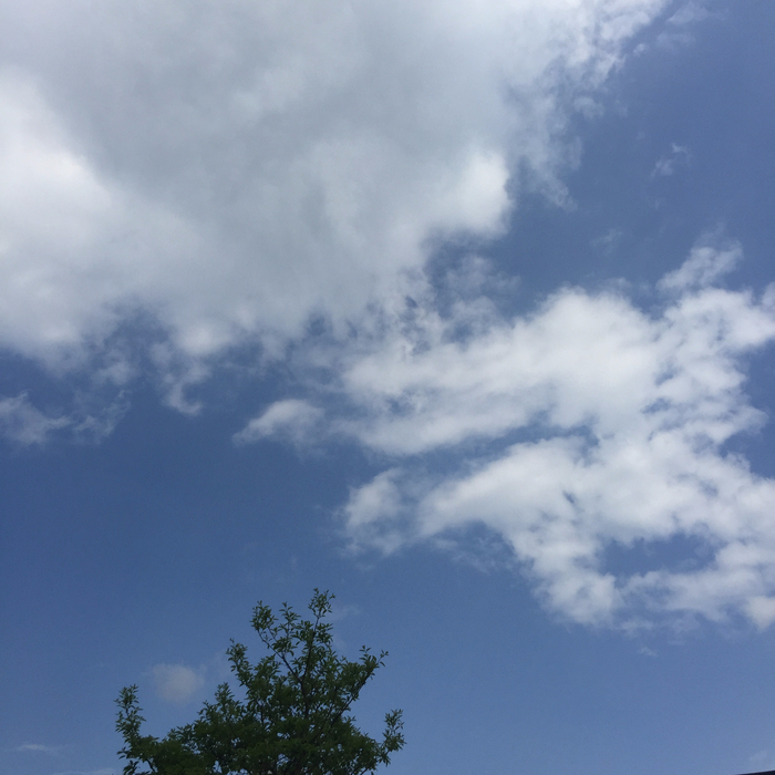 코끼리세차장 이미지