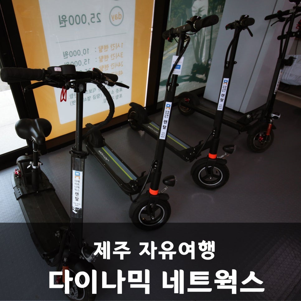 다이나믹네트웍스 이미지
