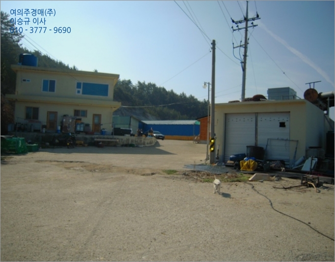 차우리다 이미지