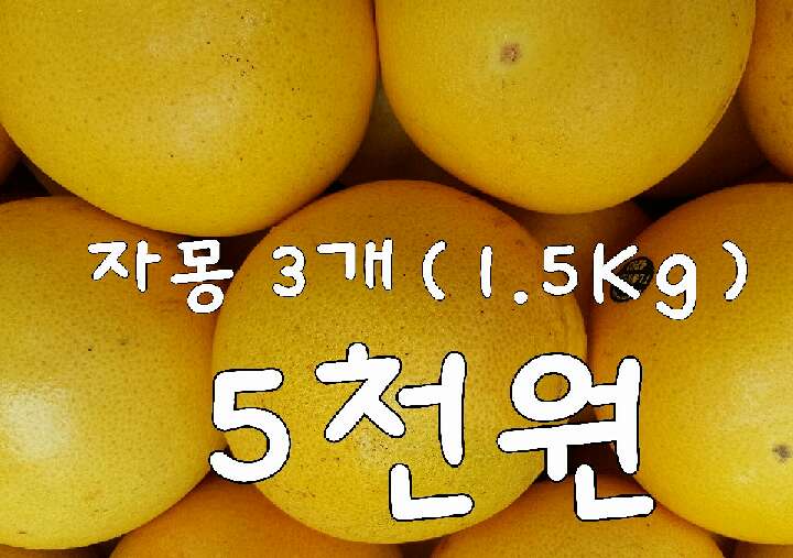 과일애 이미지