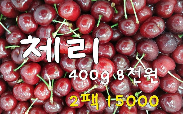 과일애 이미지