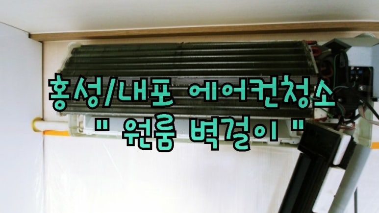 아이사랑홈케어엣지클린 이미지