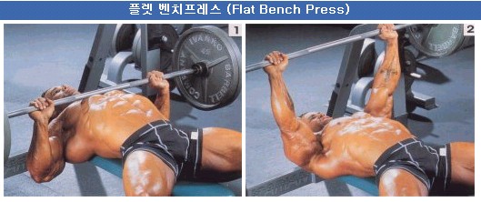 위캔짐 이미지