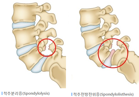 네이든스포츠센터 이미지