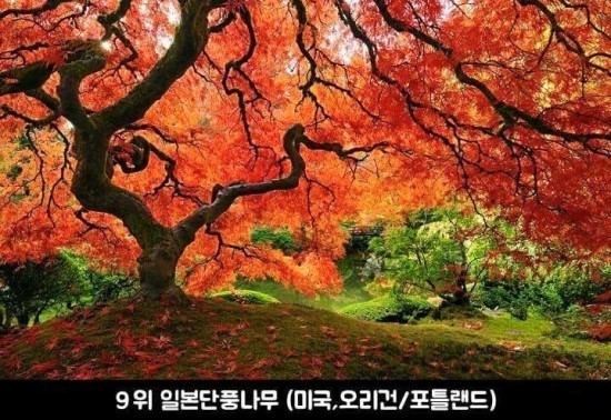 한국초월명상원 이미지