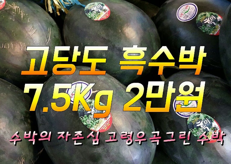 과일애 이미지