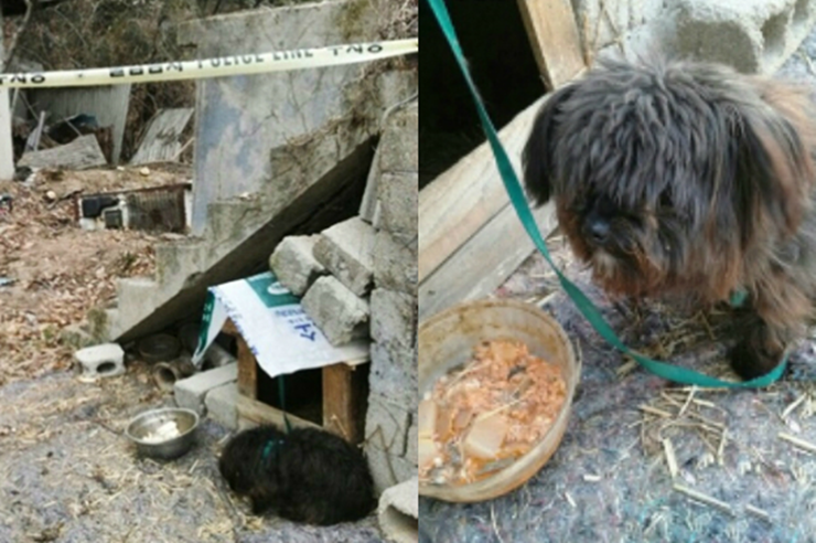 토리농장 이미지