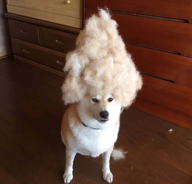 림스치킨 이미지