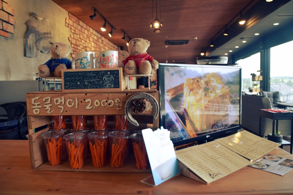 드르쿰다제주 이미지