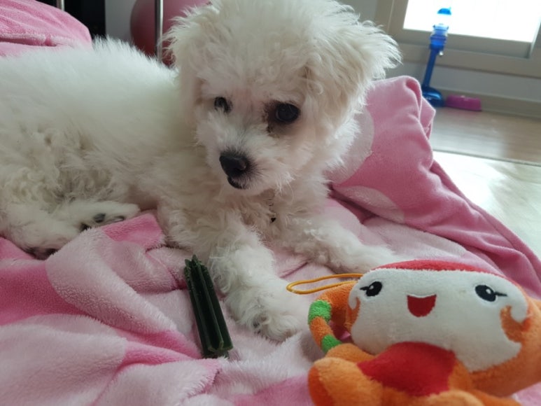 봉자빨래 이미지