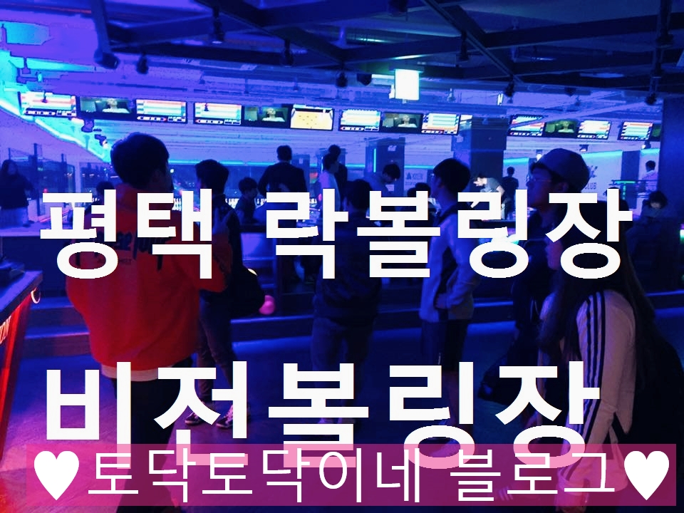 비전락볼링클럽 이미지