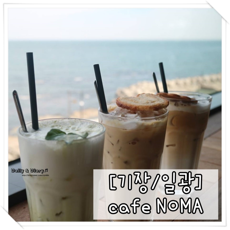 카페노마 이미지