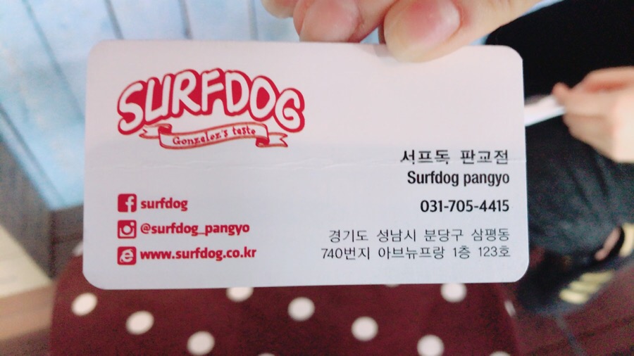 서프독 대표 사진