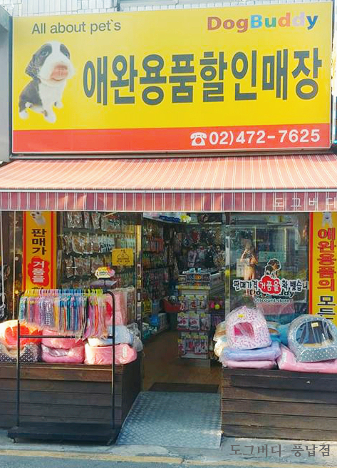 도그버디 이미지