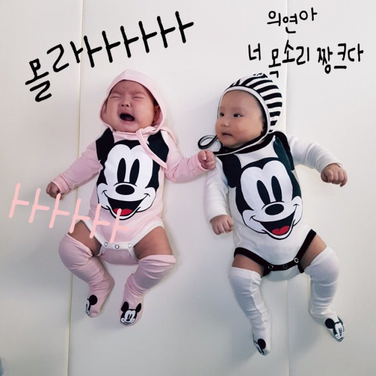 피크닉타임 이미지