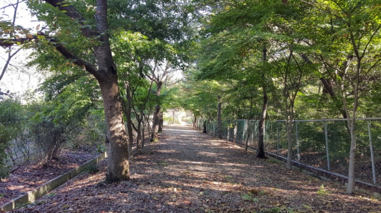 원광대학교자연식물원 이미지